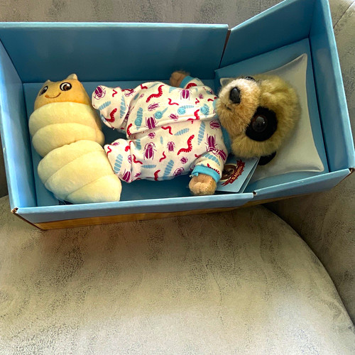 Meerkat oleg pyjamas box - meerkat,