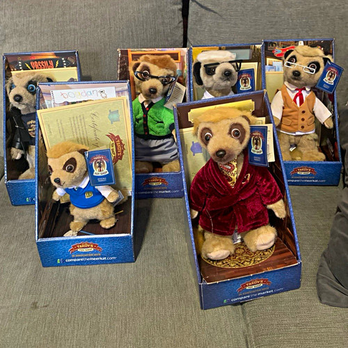 Compare the meerkat - compare,