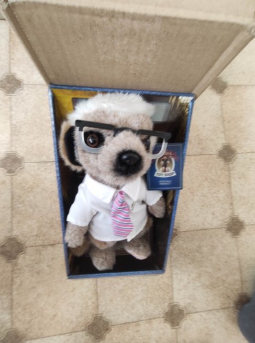 Compare the meerkat sergei - compare,