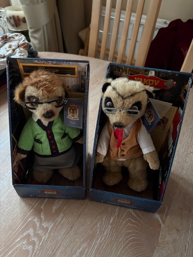 Compare the meerkat boxed - compare,