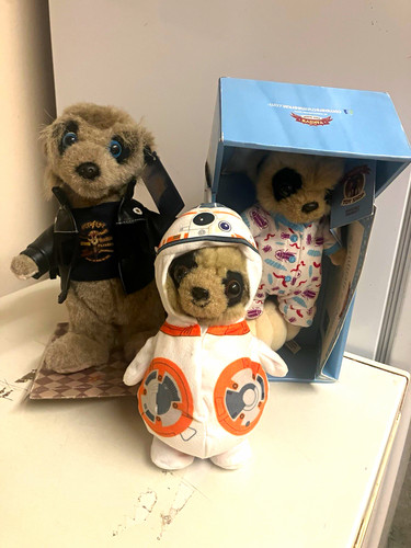 Yakov toy shop meerkat manor - meerkat,