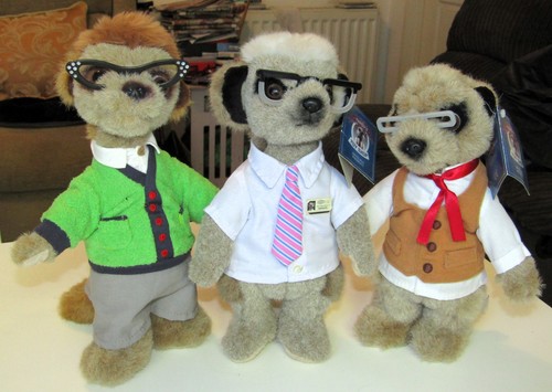 Meerkat soft toy - meerkat,